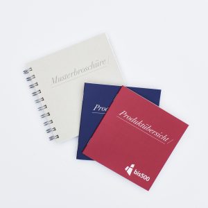 Musterbroschüre Druck- und Papiermuster