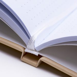 Kapitalband und Zeichenband, Hardcover