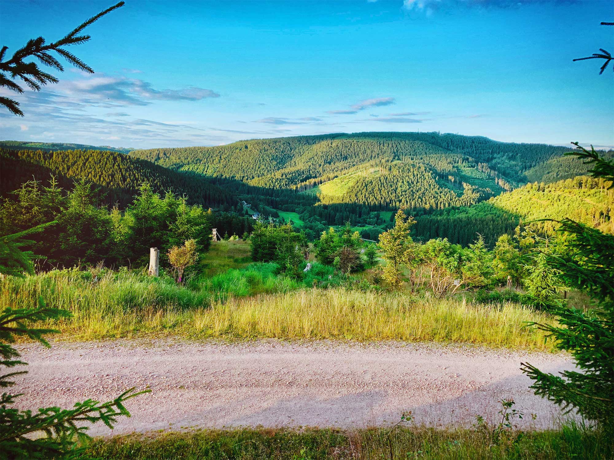 Blick auf den Thüringer Wald in Deutschland.