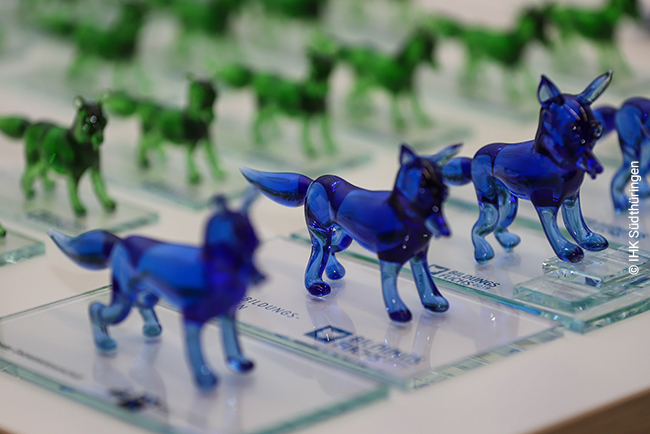 Bildungsfuechse Glastrophaen